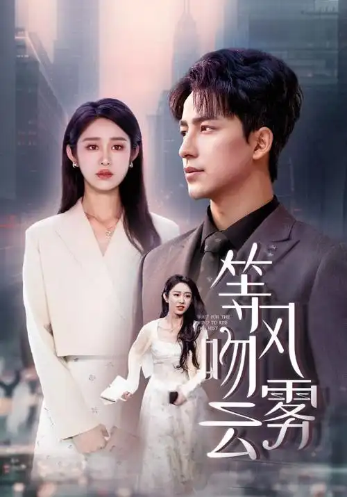 剧集海报